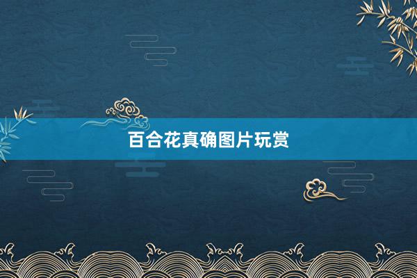 百合花真确图片玩赏