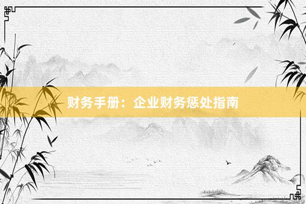 财务手册：企业财务惩处指南