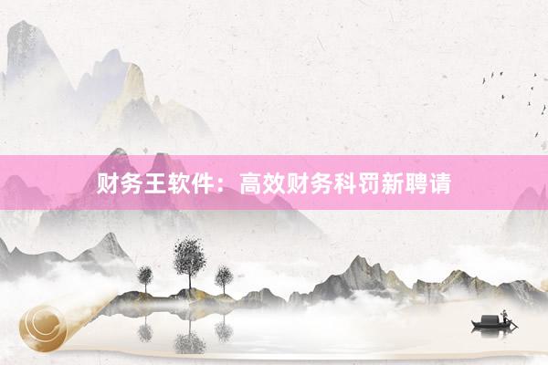 财务王软件：高效财务科罚新聘请